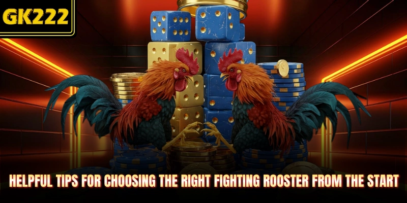 Helpful tips for choosing the right fighting rooster from the start