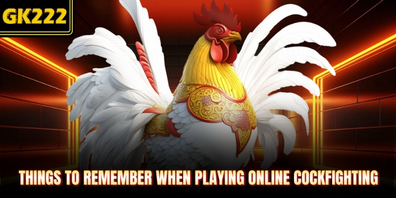Things to remember when playing online cockfighting